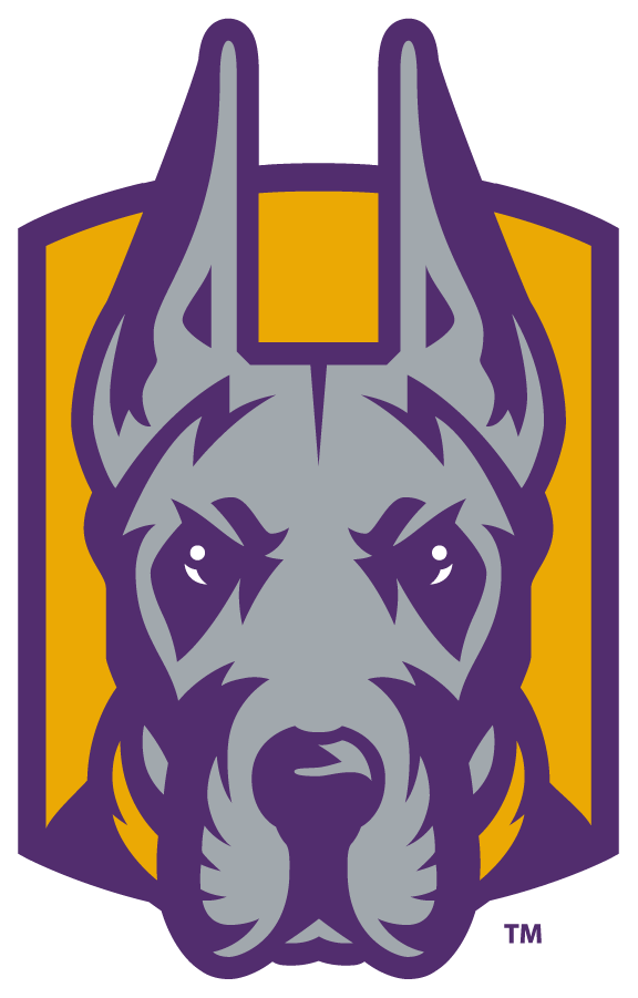 Albany Great Danes 2020-Pres Alternate Logo v3 DIY iron on transfer (heat transfer)